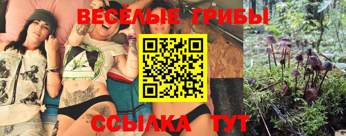 Галлюциногенные грибы мицелий Альметьевск