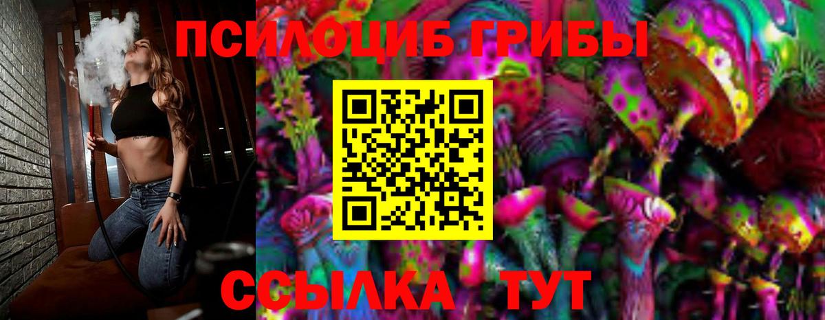 Галлюциногенные грибы мицелий  Вход с VPN  Альметьевск 